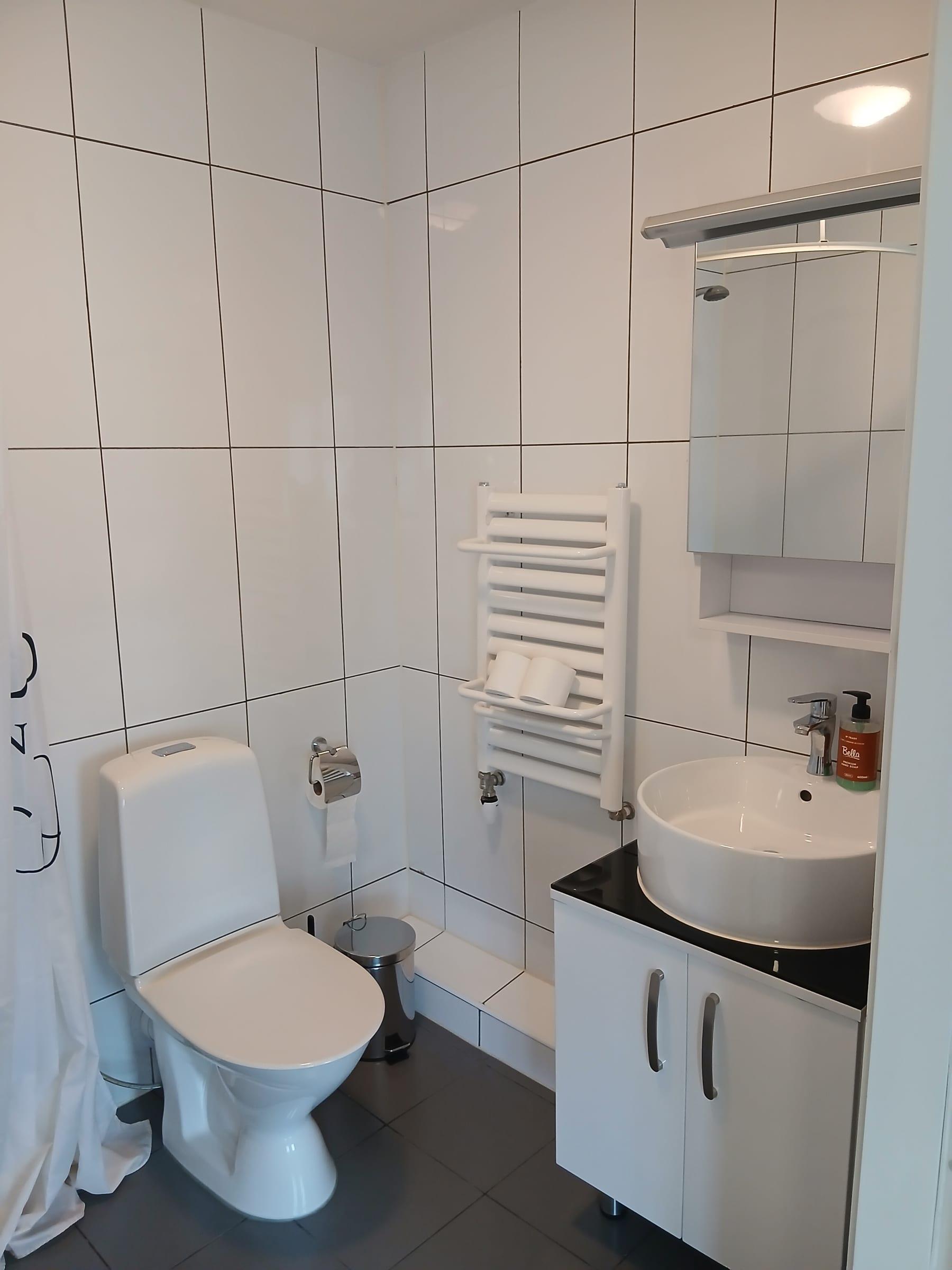 Badrum med wc, handfat, spegelskåp och handdukstork